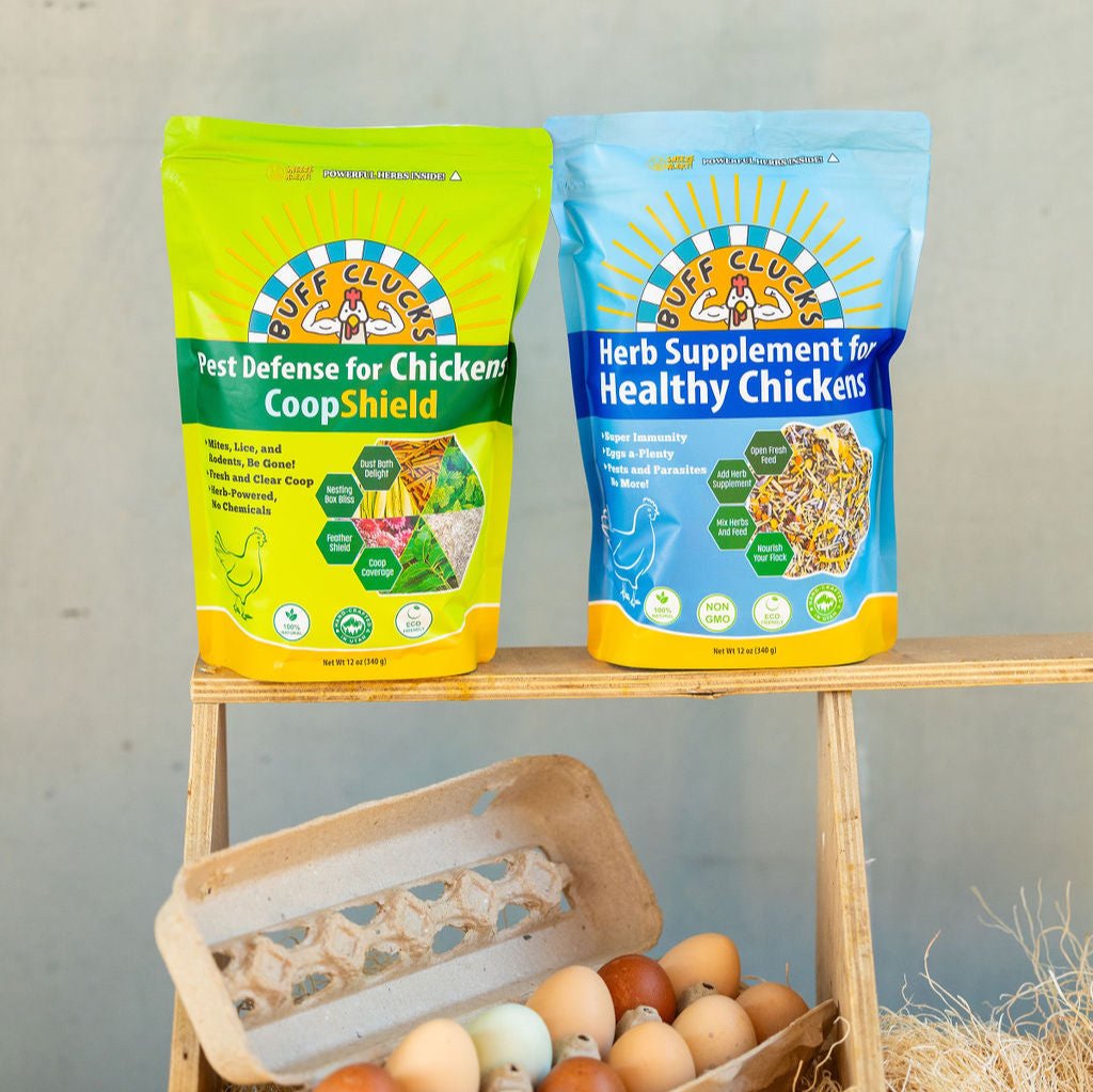 coopshield and herb supplement bundle for backyard chickens with eggs in nesting box