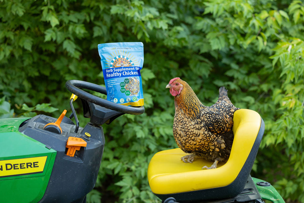 chicken on john deere tractor with buff clucks herb supplement for chickens on steering wheel