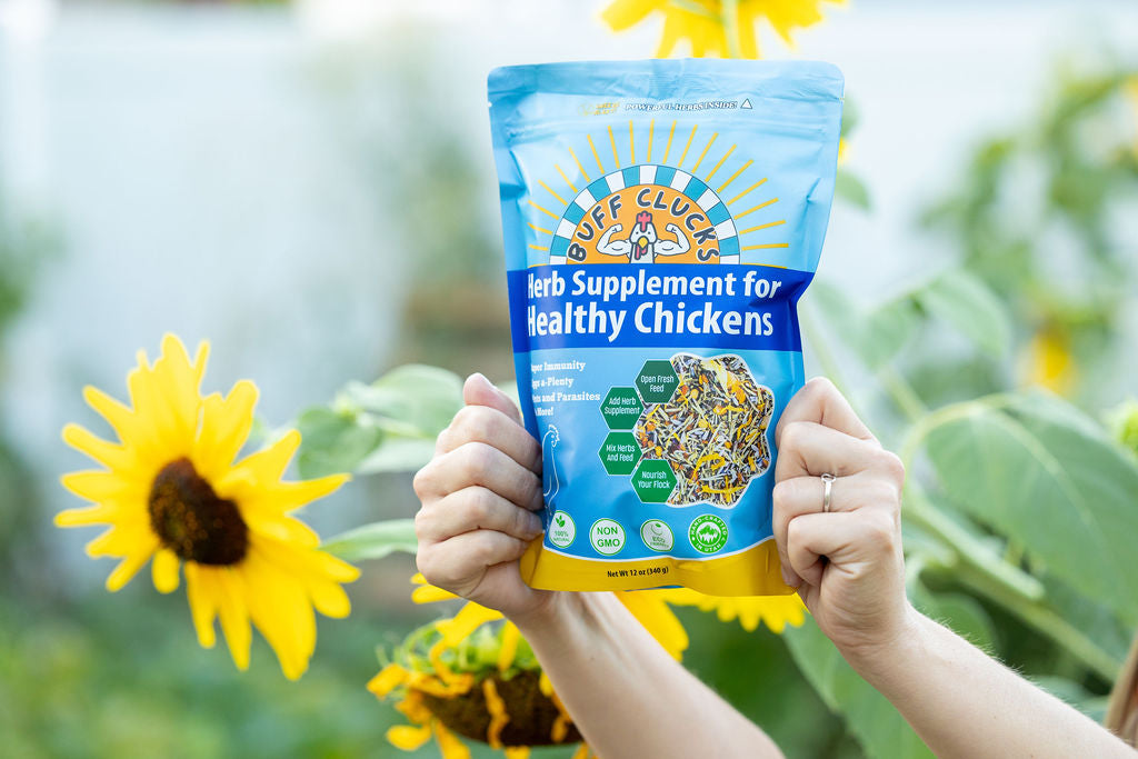 buff clucks herb supplement for chickens with sunflower in background