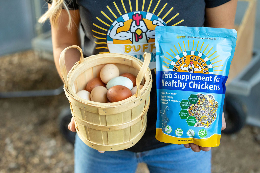 buff clucks herb supplement for chickens with basket of chicken eggs and buff clucks tshirt in background