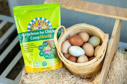 CoopShield Diatomaceous Earth Peppermint and herbs natural pest control for chickens in nesting box with chicken eggs