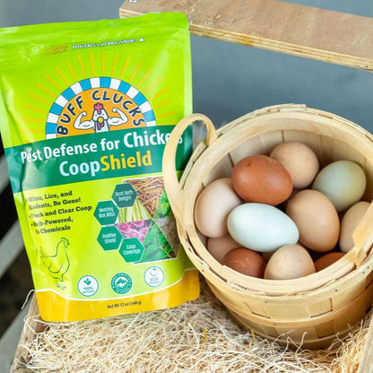 coopshield  for backyard chickens in nesting box with eggs