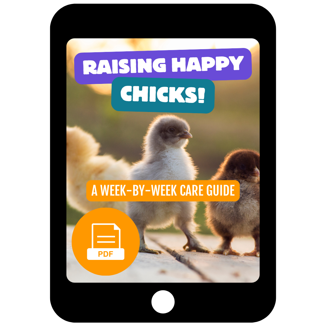 Raising Happy Chicks: A Week-by-Week Care Guide