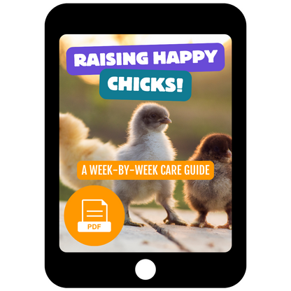 Raising Happy Chicks: A Week-by-Week Care Guide