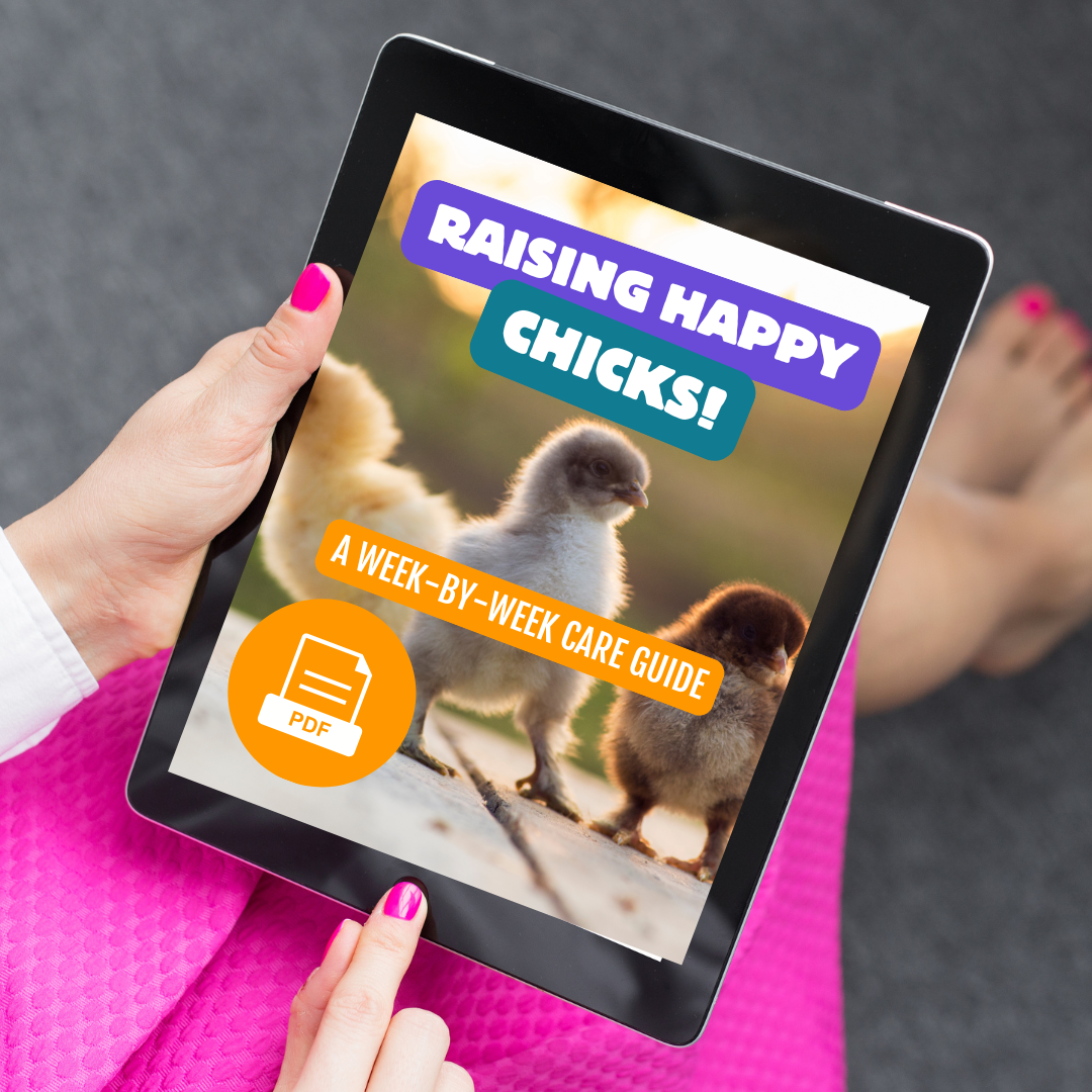 Raising Happy Chicks: A Week-by-Week Care Guide