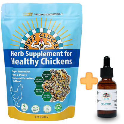 Water and Herb Supplement Bundle—Buff Clucks + Aquaboost