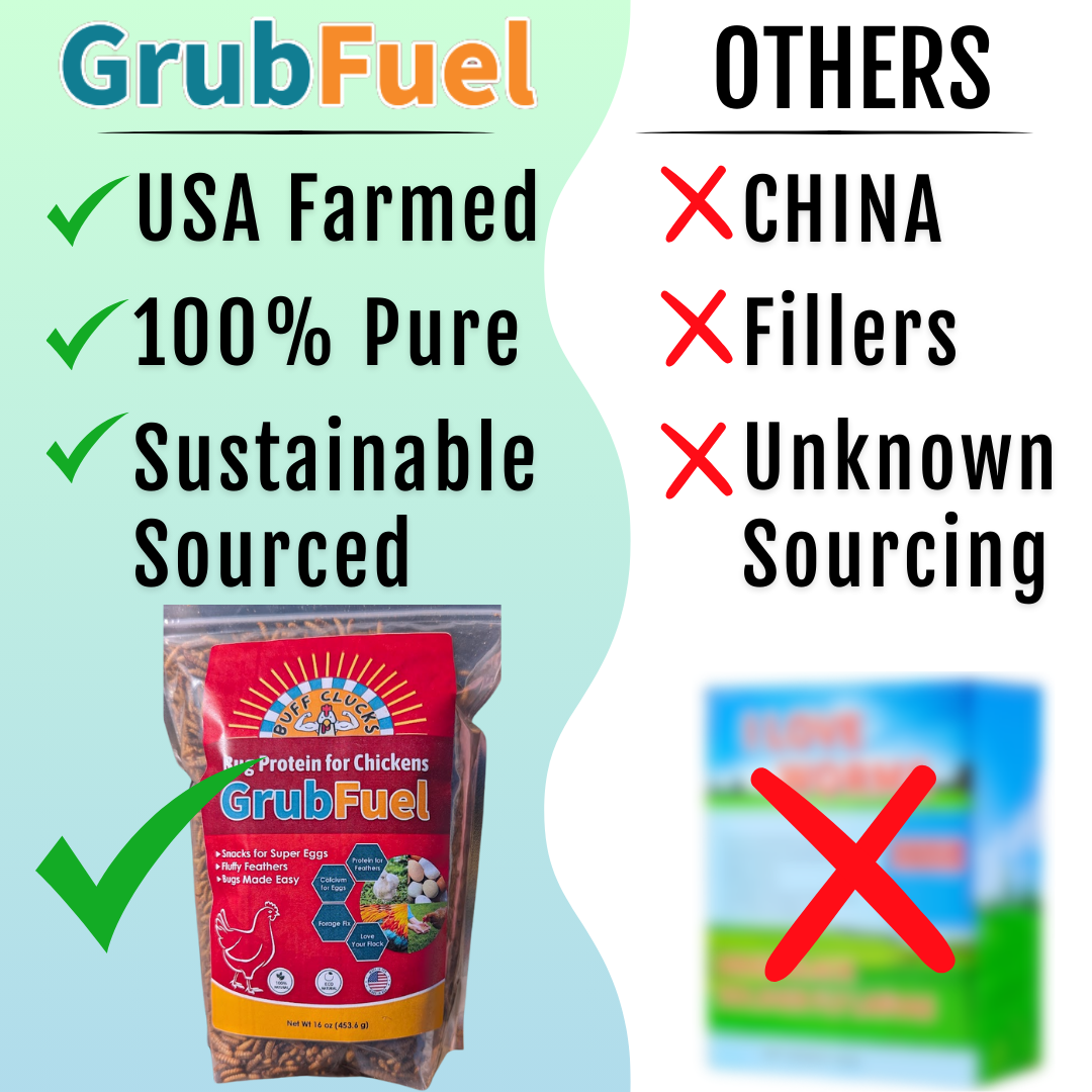 GrubFuel - Black Soldier Fly Larvae