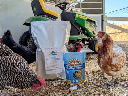 Herb Supplement For Backyard Chickens