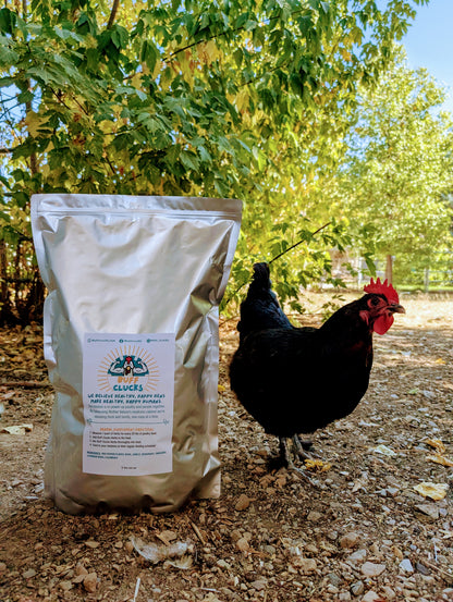 Herb Supplement For Backyard Chickens